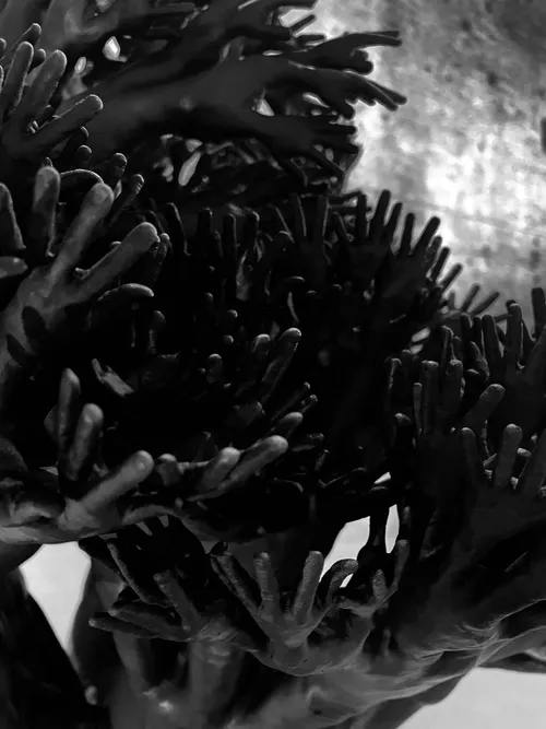 Αντιφάσεις της ζωής