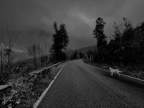 Κακοποιητικές σχέσεις και η αργή αφύπνιση. 